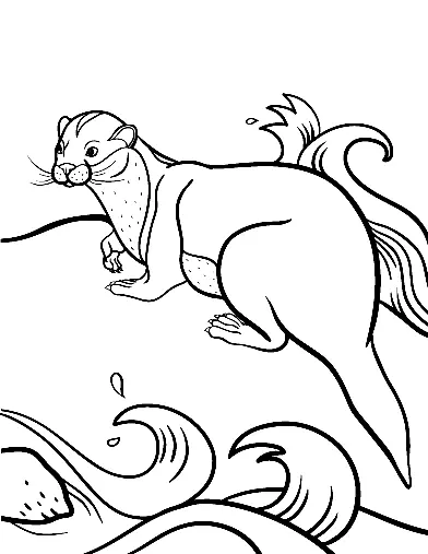 Otter Ausmalbilder 42