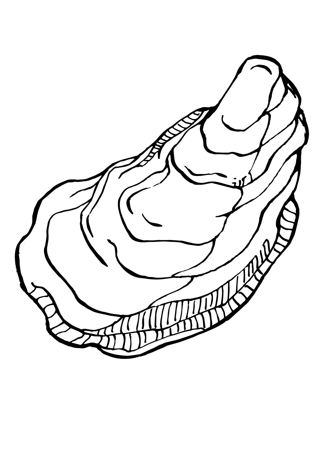 Ostras Para Colorear 9
