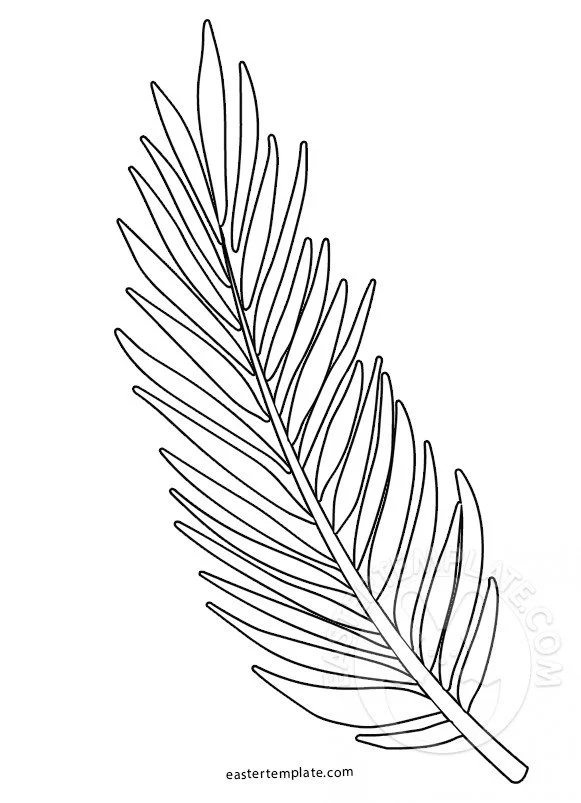 Desenhos de Folha de Palmeira Para Colorir 11