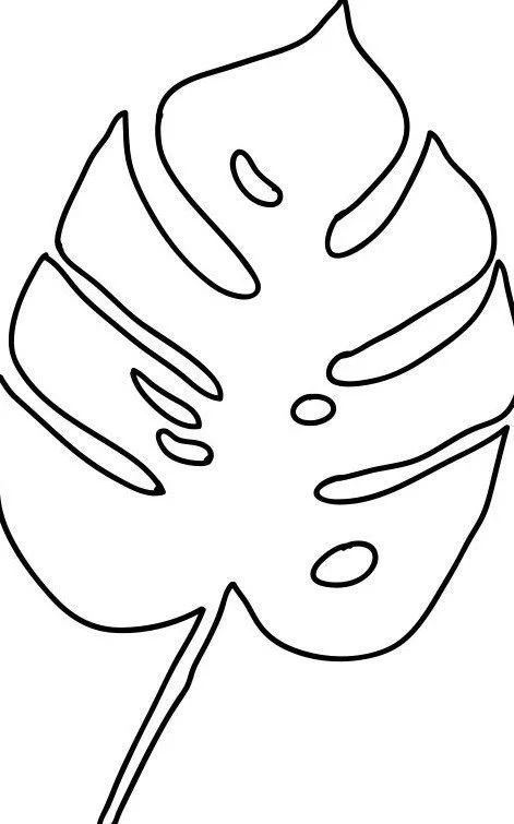 Desenhos de Folha de Palmeira Para Colorir 23
