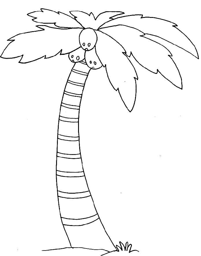 Palm Tree Coloring Pages 1