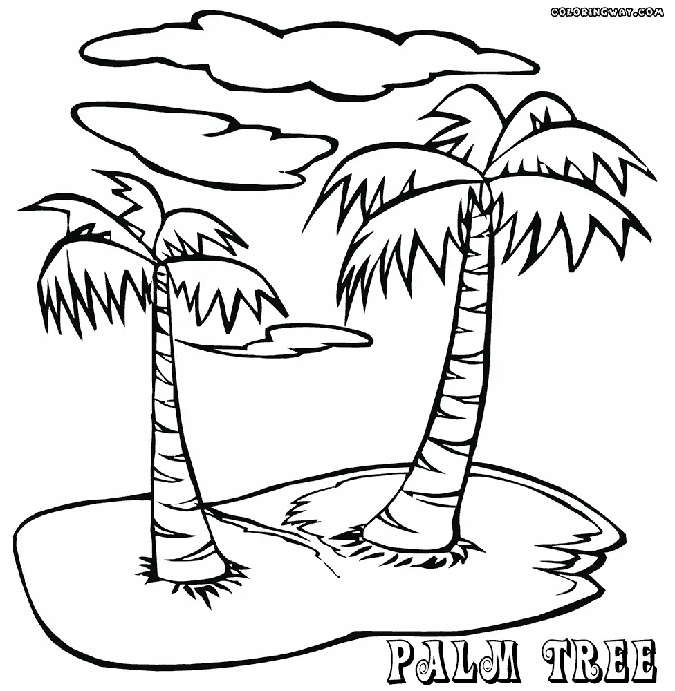 Palm Tree Coloring Pages 15