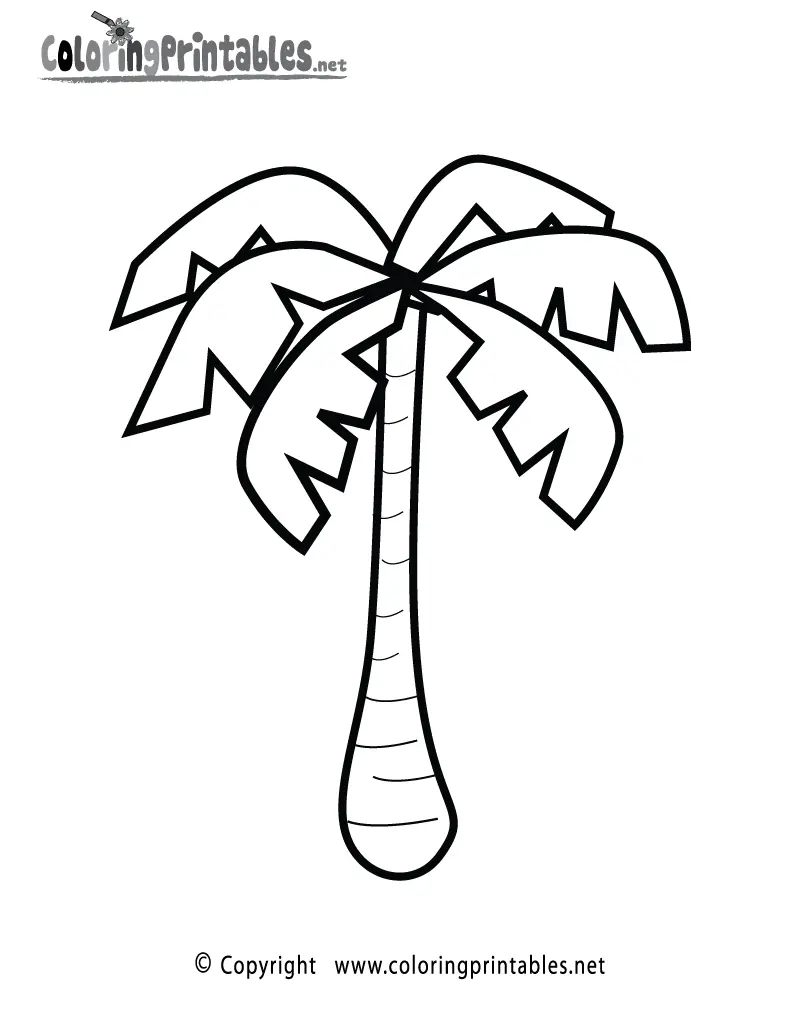 Palm Tree Coloring Pages 3