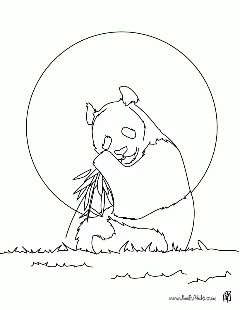 Panda Coloring Pages 26