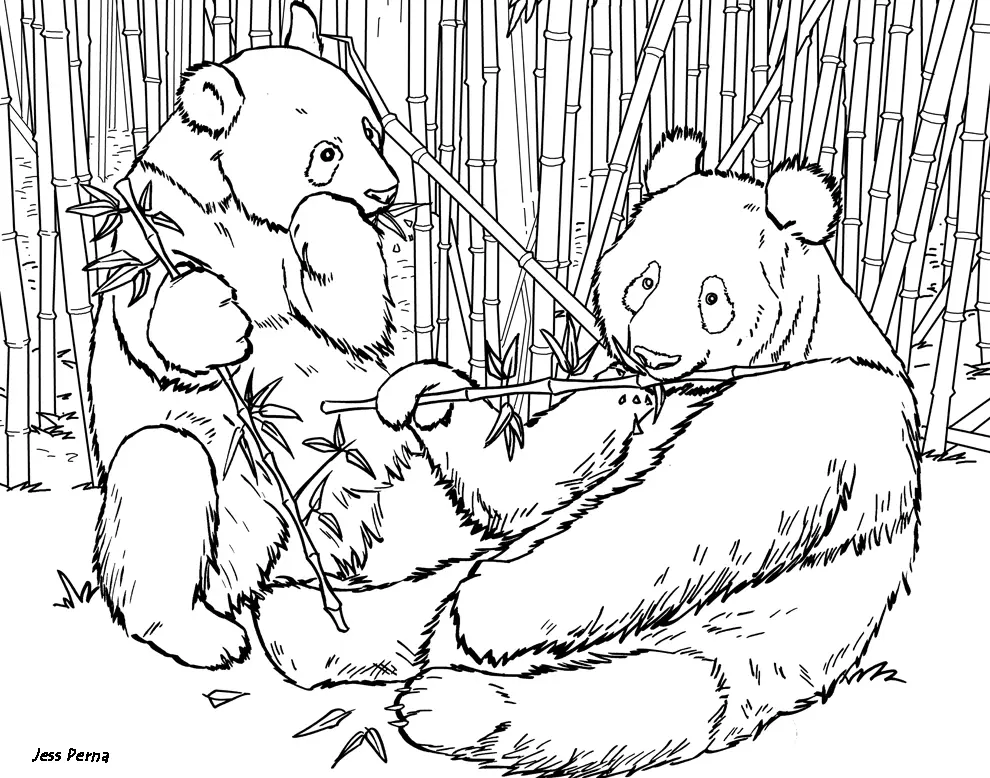 Panda Coloring Pages 5