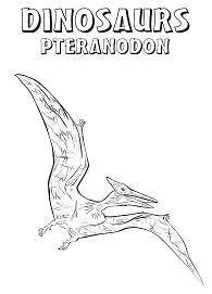 Pteranodon Ausmalbilder 10