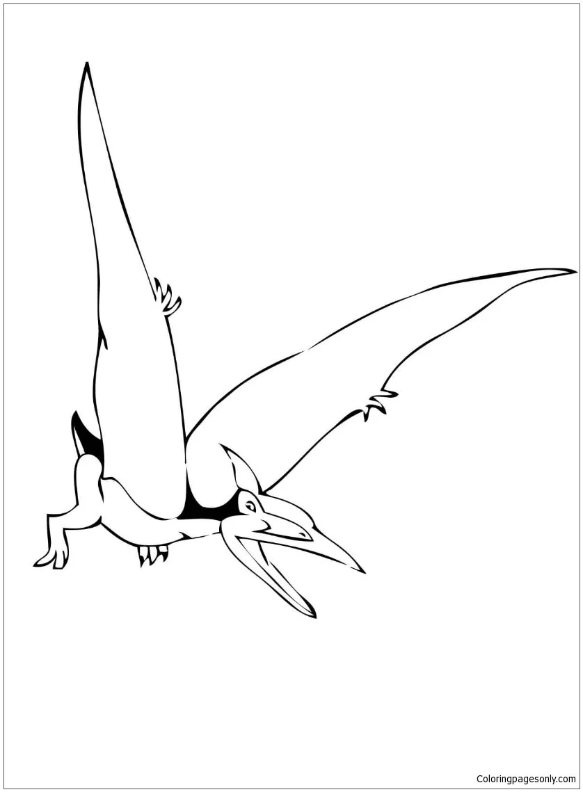Pteranodon Ausmalbilder 16