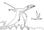 Pteranodon Ausmalbilder 2