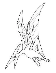 Pteranodon Ausmalbilder 7