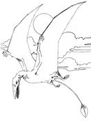 Pterodactyl Ausmalbilder 10