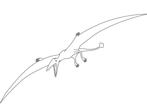Pterodactyl Ausmalbilder 4