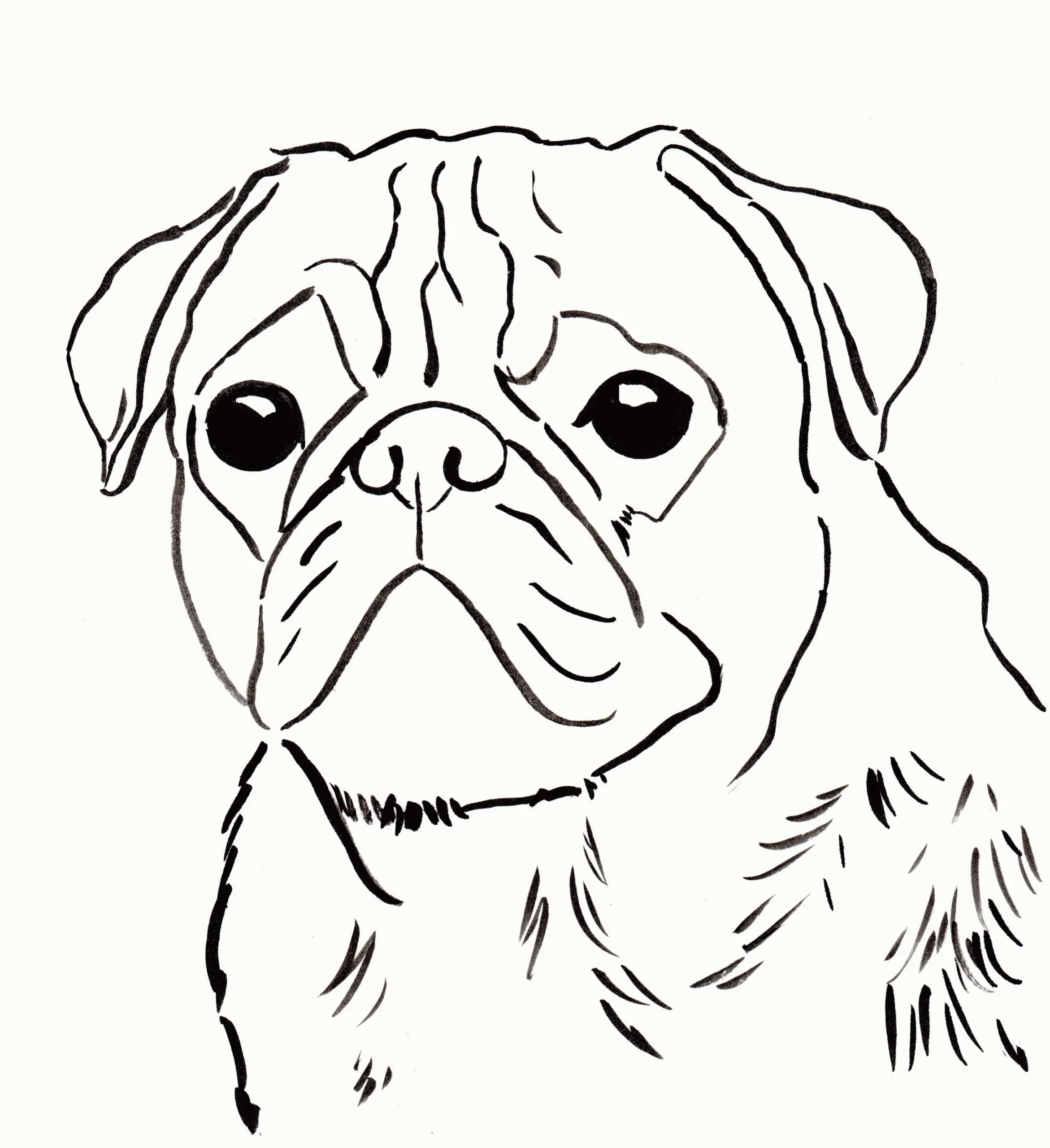 Mops Ausmalbilder 6
