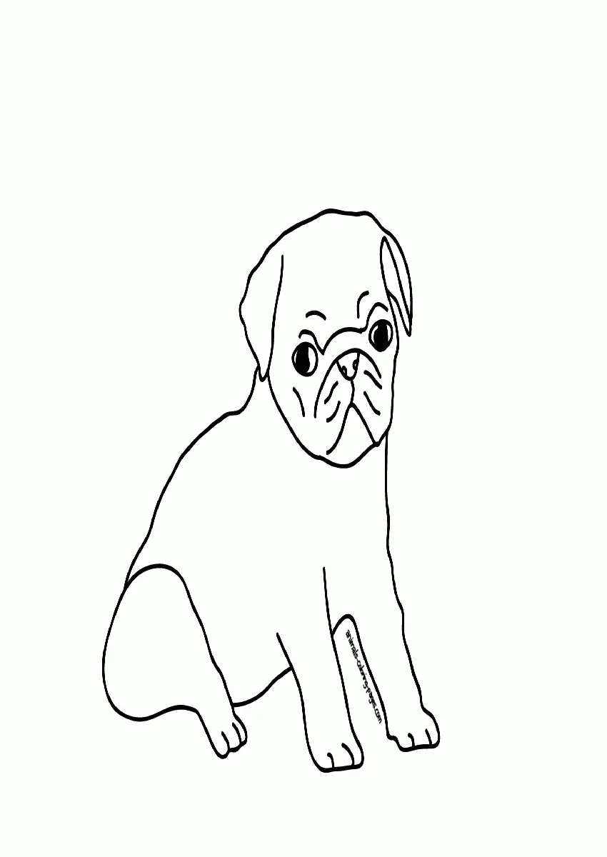 Mops Ausmalbilder 8
