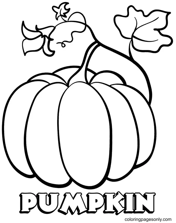 Desenhos de Pumpkin Para Colorir 4