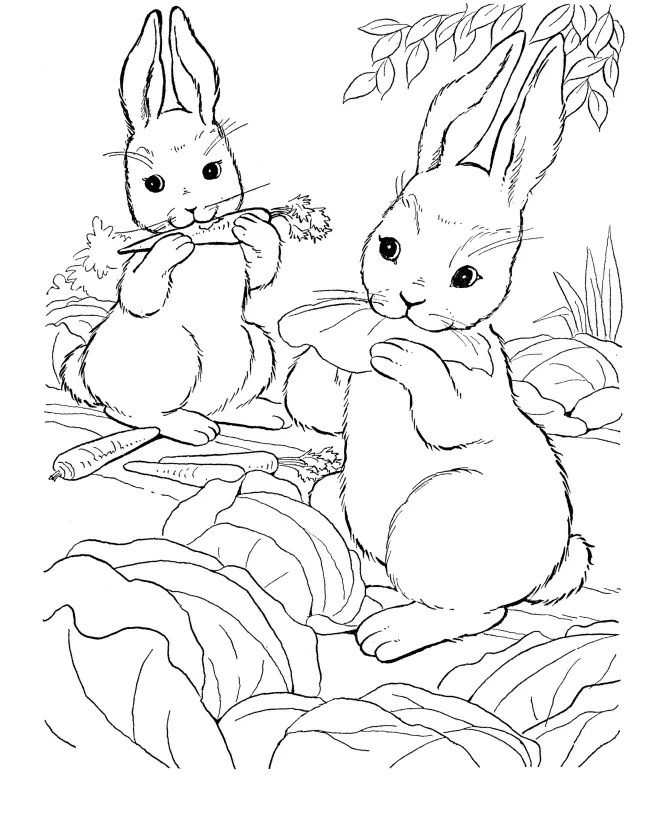 Rabbit Coloring Pages 29