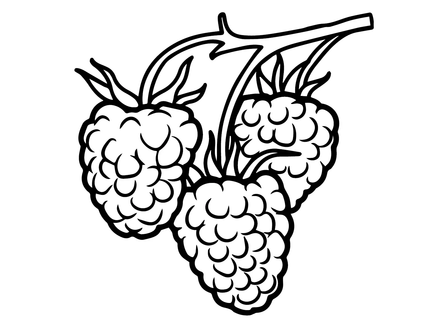 Raspberry Coloring Pages 2