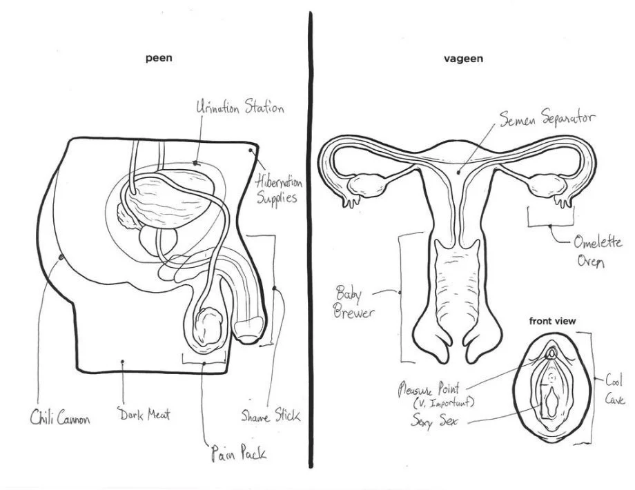 Reproductive System Coloring Pages 19
