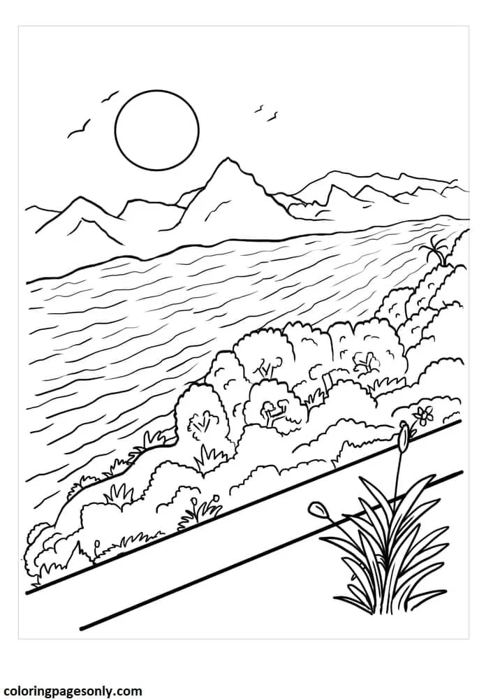 Rio Para Colorear 46