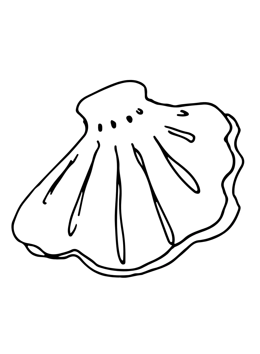 Jakobsmuscheln Ausmalbilder 24