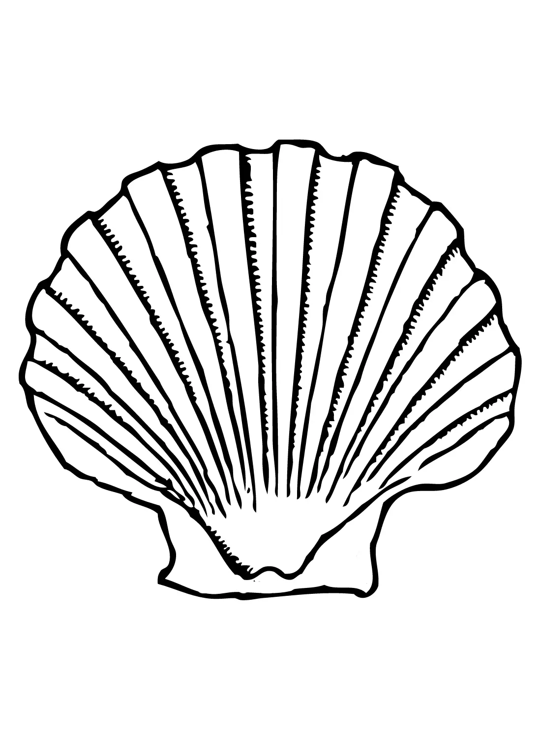 Jakobsmuscheln Ausmalbilder 6