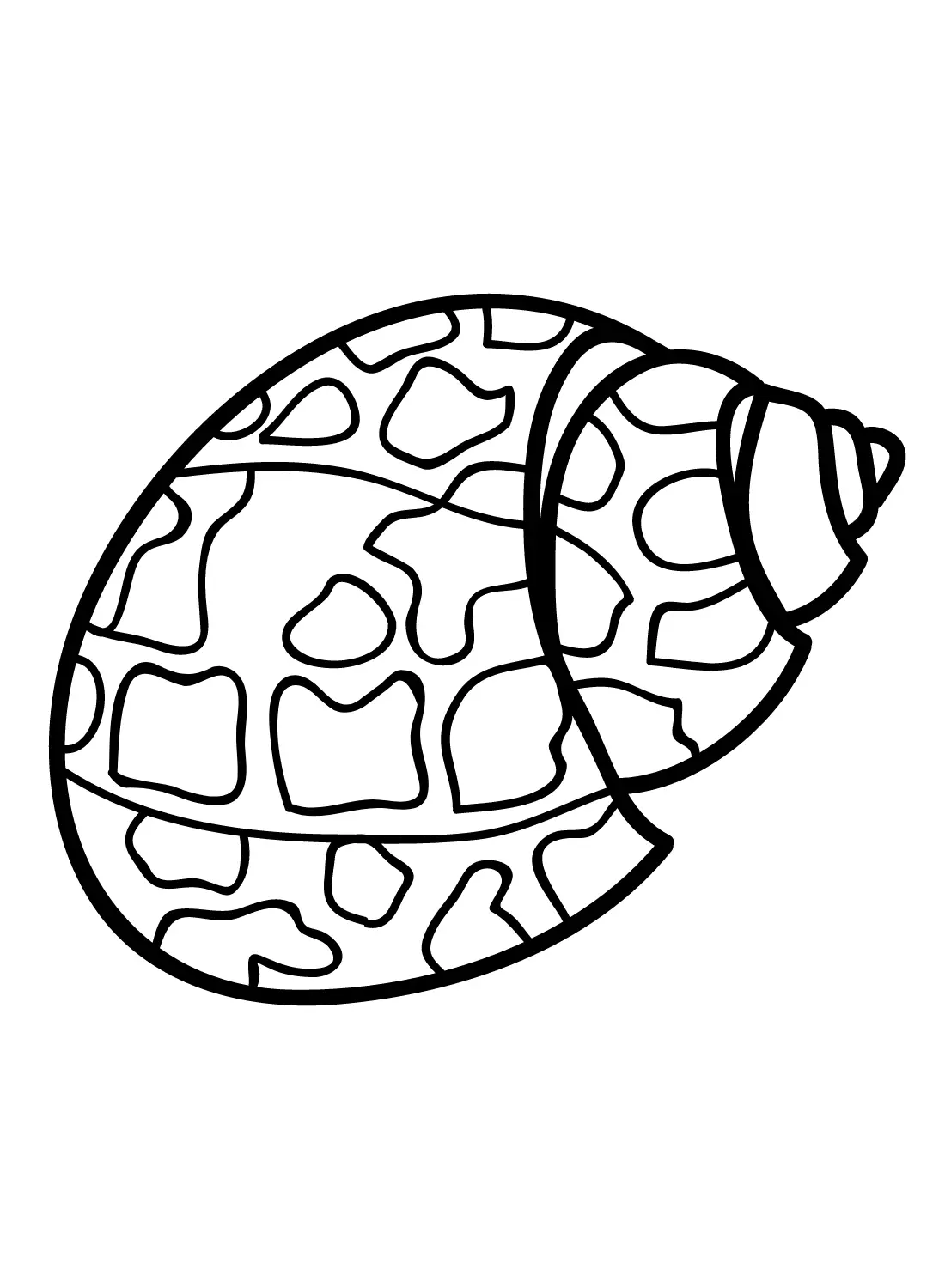 Meeresschnecken Ausmalbilder 5
