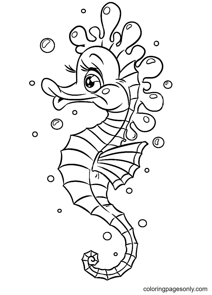 Seahorse Coloring Pages 20