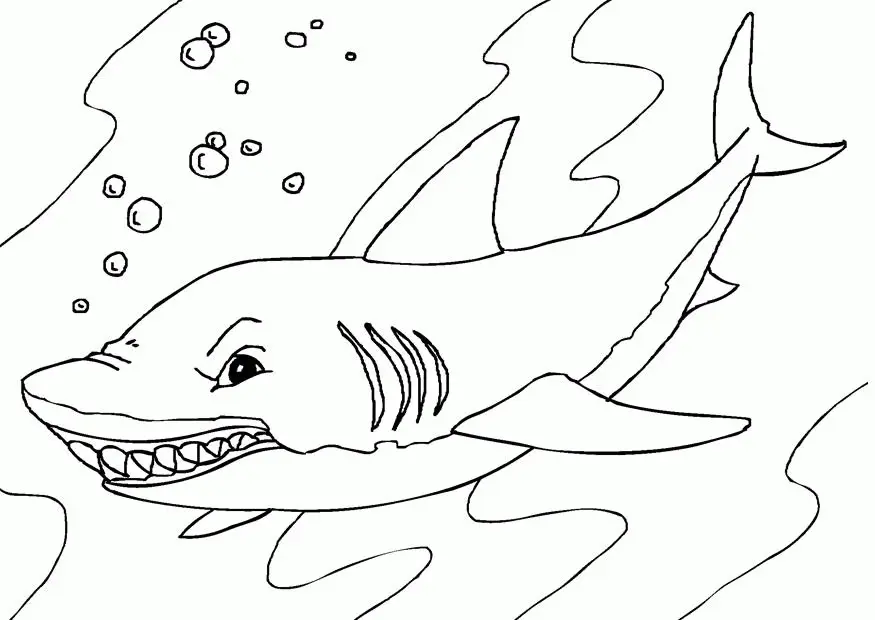 Haifisch Ausmalbilder 41