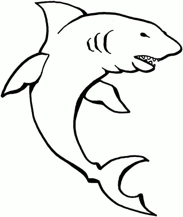Haifisch Ausmalbilder 72