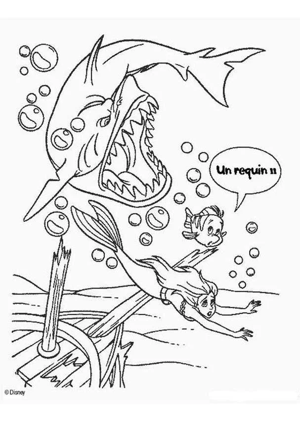 Haifisch Ausmalbilder 76