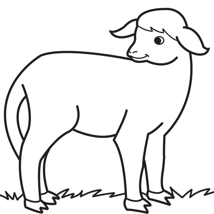 Schaf Ausmalbilder 24