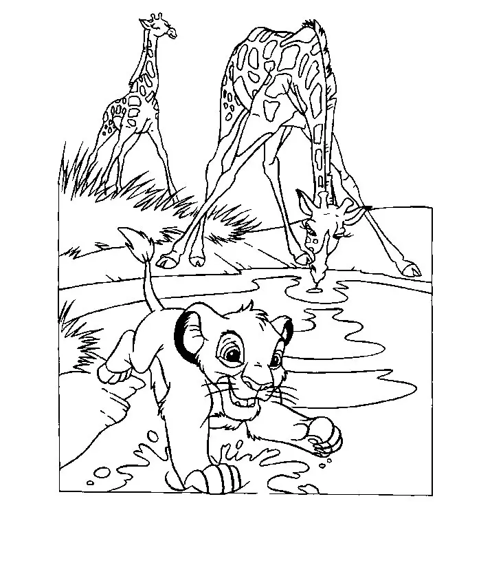 Simba Ausmalbilder 20