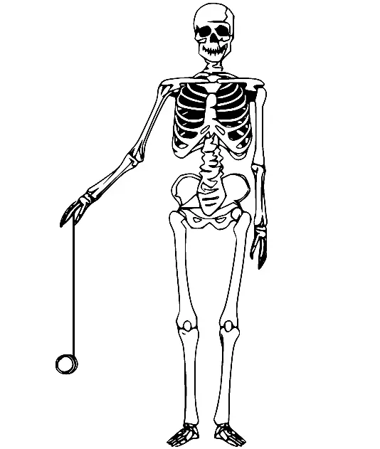 Skeleton Coloring Pages
