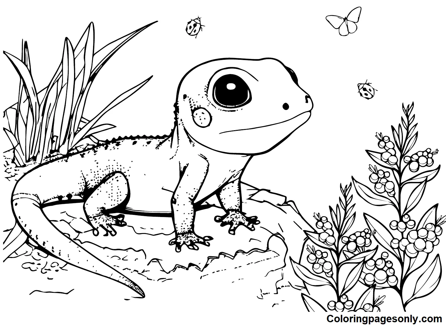 Desenhos de Skink Para Colorir 19