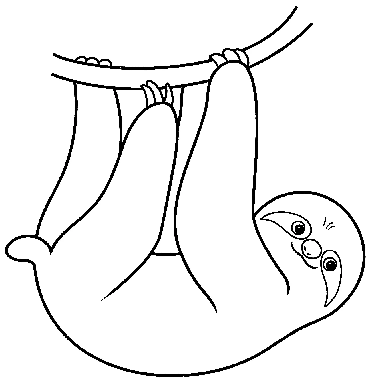 Ameisenbär Ausmalbilder 6