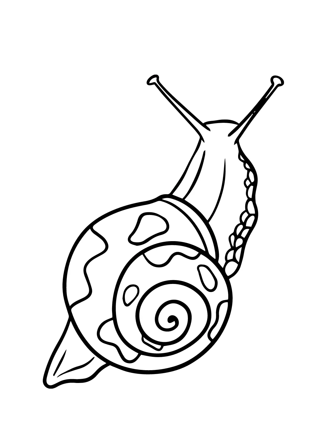 Schnecken Ausmalbilder 34