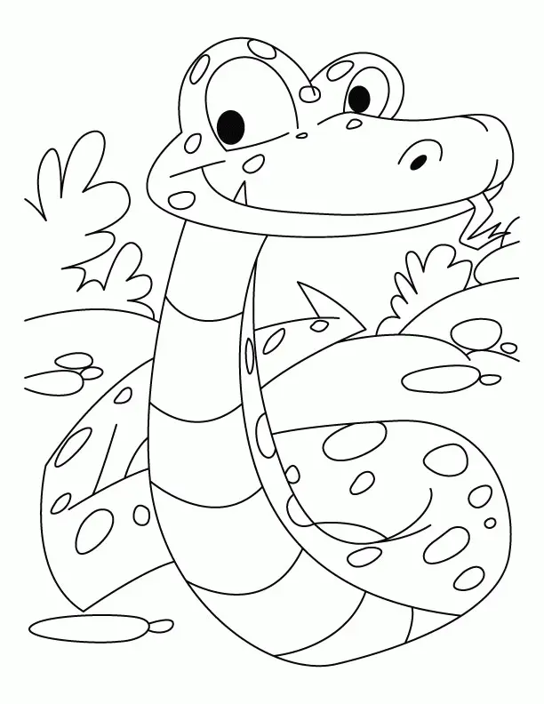 Snake Coloring Pages 109