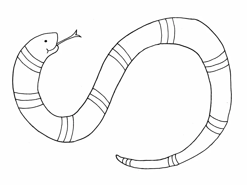 Snake Coloring Pages 19