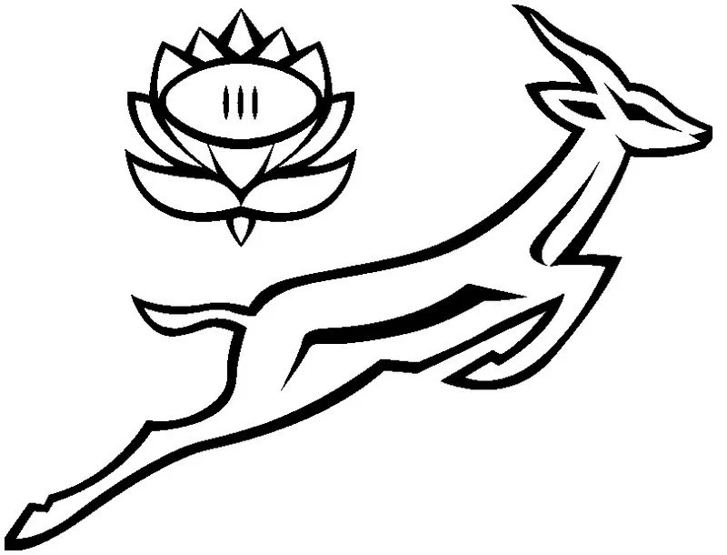 Springbok Ausmalbilder 15