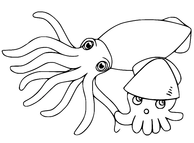 Tintenfisch Ausmalbilder 30