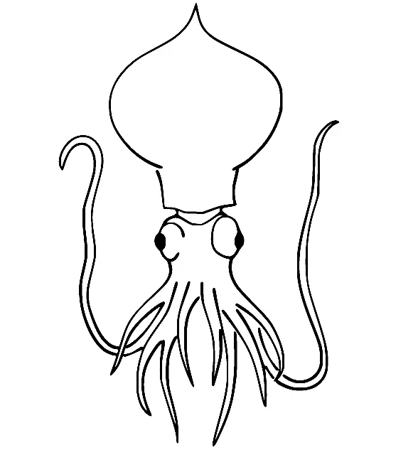 Tintenfisch Ausmalbilder 39