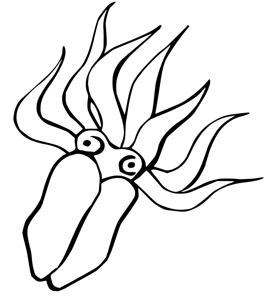 Tintenfisch Ausmalbilder 65