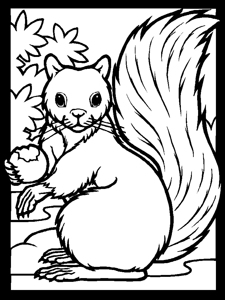 Desenhos de Esquilo Para Colorir 1