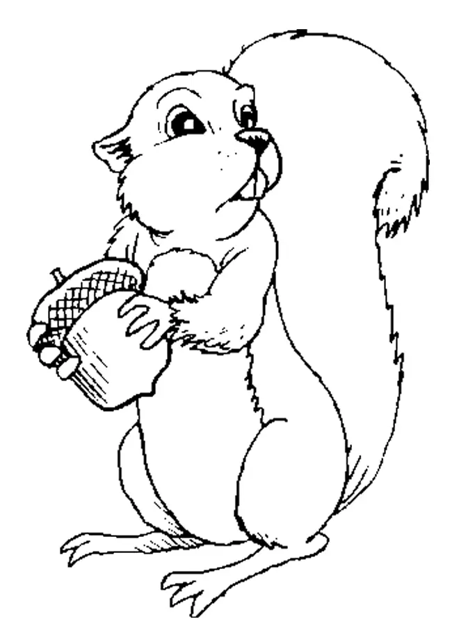 Desenhos de Esquilo Para Colorir 10