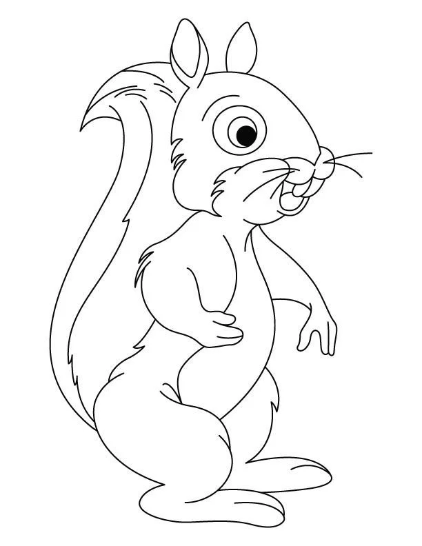 Desenhos de Esquilo Para Colorir 17