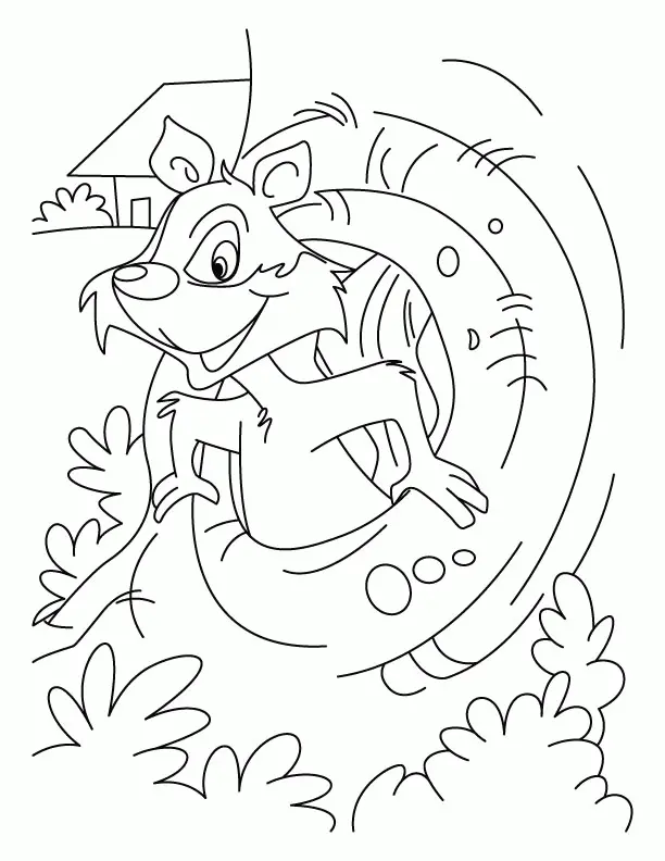 Desenhos de Esquilo Para Colorir 20