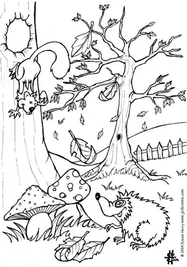 Desenhos de Esquilo Para Colorir 23