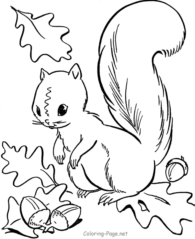 Desenhos de Esquilo Para Colorir 28