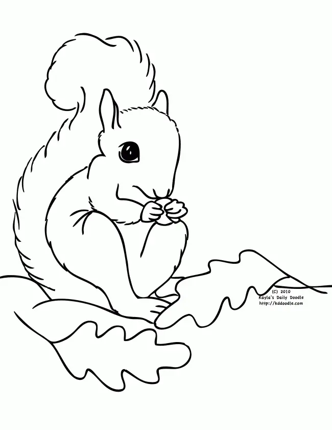 Desenhos de Esquilo Para Colorir 39
