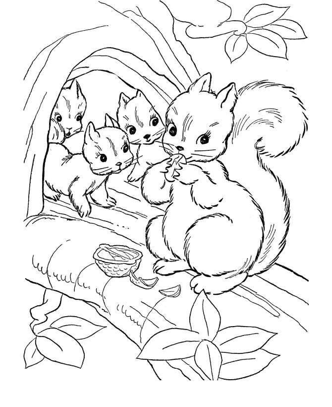 Desenhos de Esquilo Para Colorir 4