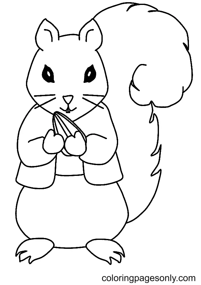 Desenhos de Esquilo Para Colorir 73